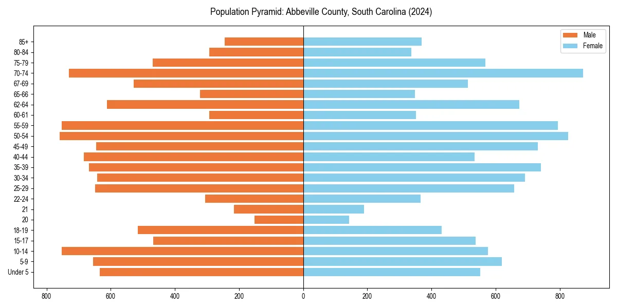 Population pyramid for 