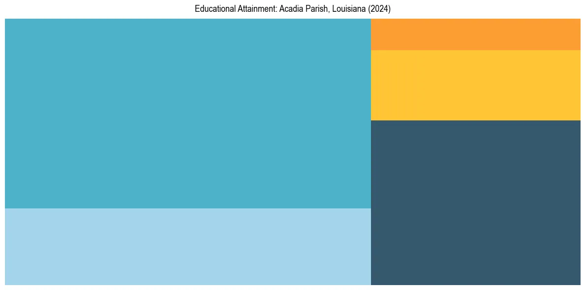 Education Treemap for  in 2024