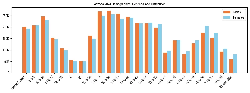 Bar chart showing the population distribution of Arizona by age group and gender, based on 2024 ACS data.
