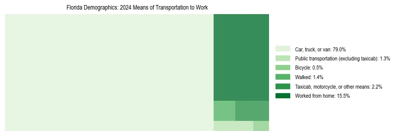 Treemap showing means of transportation to work distribution in Florida.