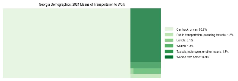 Treemap showing means of transportation to work distribution in Georgia.