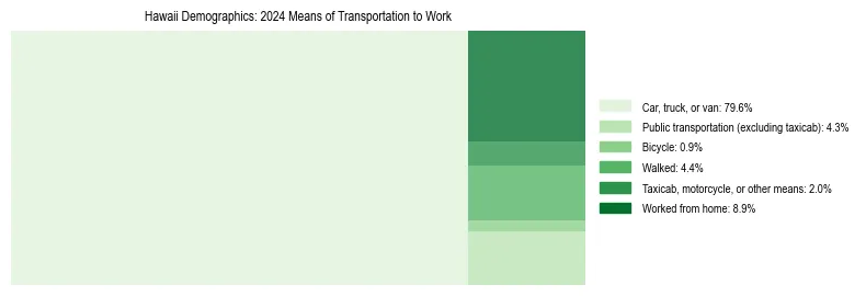 Treemap showing means of transportation to work distribution in Hawaii.