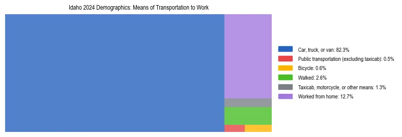 Treemap showing means of transportation to work distribution in Idaho.