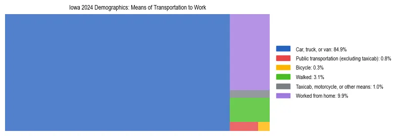 Treemap showing means of transportation to work distribution in Iowa.
