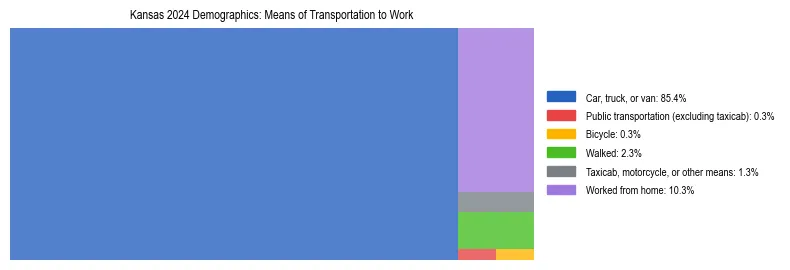 Treemap showing means of transportation to work distribution in Kansas.