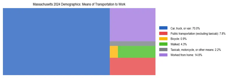Treemap showing means of transportation to work distribution in Massachusetts.