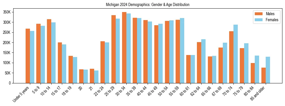 Bar chart showing the population distribution of Michigan by age group and gender, based on 2024 ACS data.