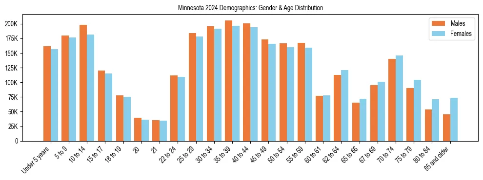 Bar chart showing the population distribution of Minnesota by age group and gender, based on 2024 ACS data.