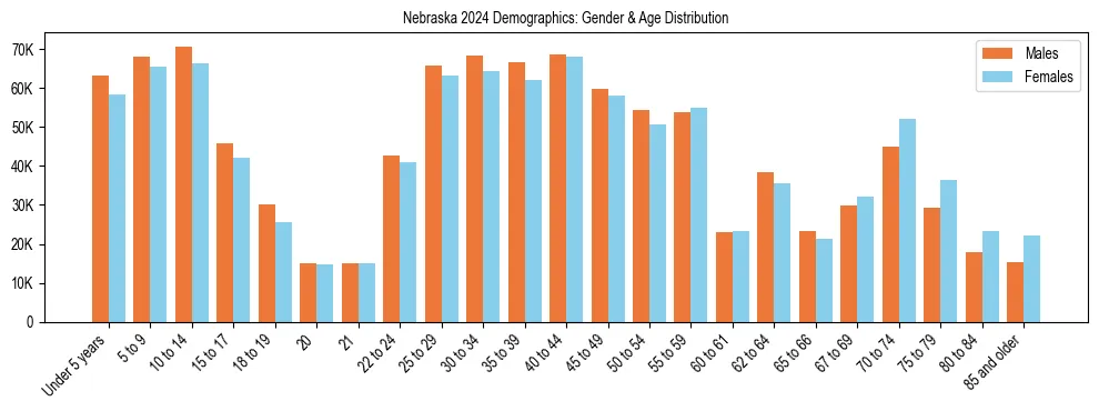 Bar chart showing the population distribution of Nebraska by age group and gender, based on 2024 ACS data.