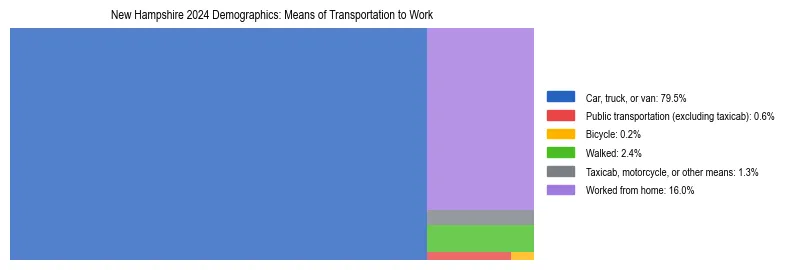 Treemap showing means of transportation to work distribution in New Hampshire.