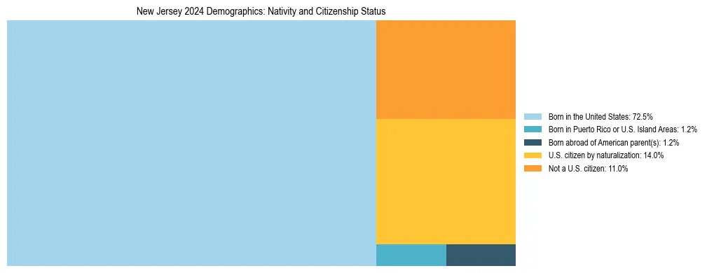Treemap showing the population distribution by nativity and citizenship status in New Jersey based on U.S. Census data.