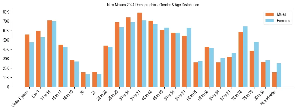 Bar chart showing the population distribution of New Mexico by age group and gender, based on 2024 ACS data.