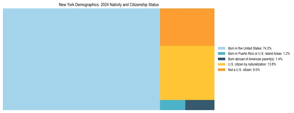 Treemap showing the population distribution by nativity and citizenship status in New York based on U.S. Census data.