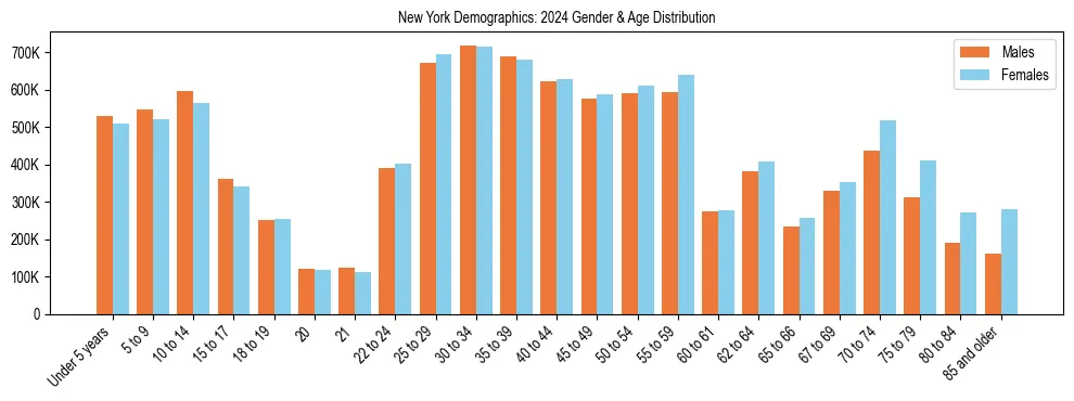 Bar chart showing the population distribution of New York by age group and gender, based on 2024 ACS data.