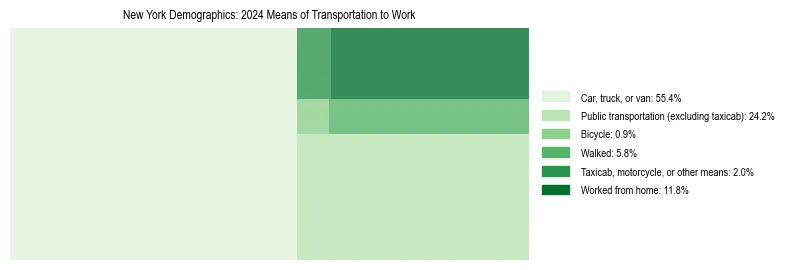 Treemap showing means of transportation to work distribution in New York.