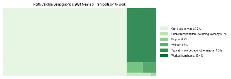 Treemap showing means of transportation to work distribution in North Carolina.