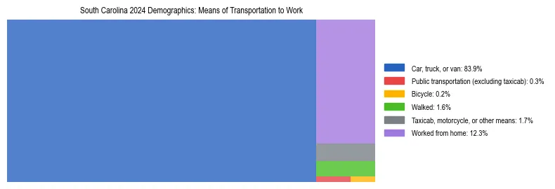 Treemap showing means of transportation to work distribution in South Carolina.