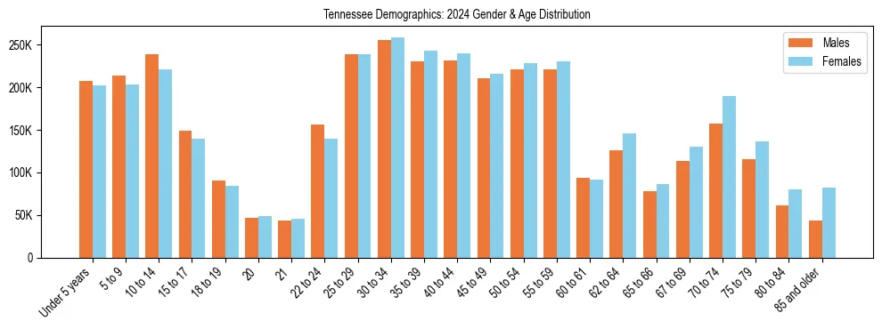 Bar chart showing the population distribution of Tennessee by age group and gender, based on 2024 ACS data.