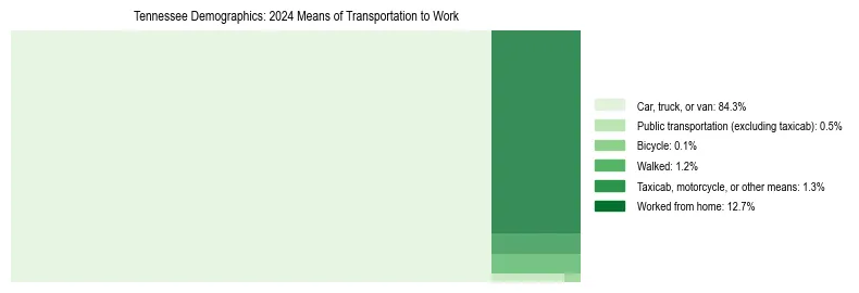 Treemap showing means of transportation to work distribution in Tennessee.