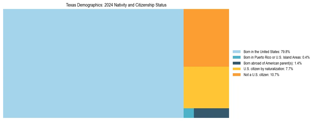 Treemap showing the population distribution by nativity and citizenship status in Texas based on U.S. Census data.