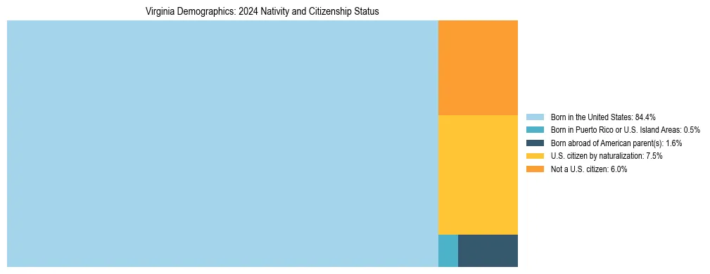 Treemap showing the population distribution by nativity and citizenship status in Virginia based on U.S. Census data.