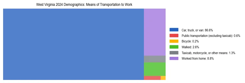Treemap showing means of transportation to work distribution in West Virginia.