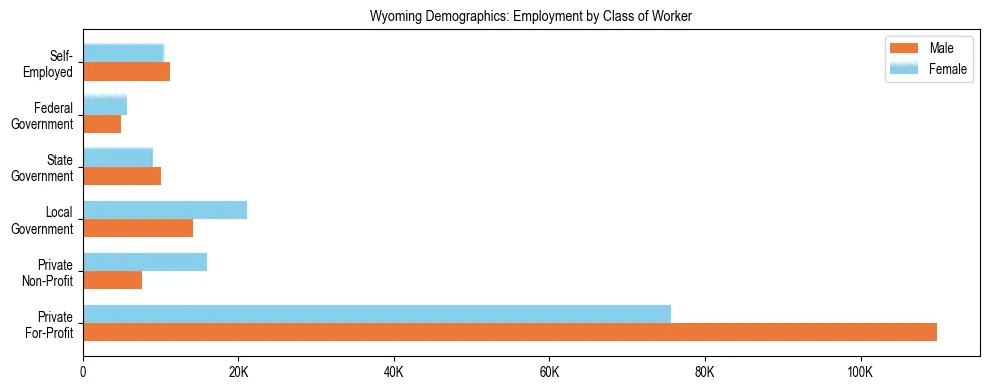 Horizontal bar chart showing employment distribution by class of worker and gender in Wyoming, based on 2024 ACS data.