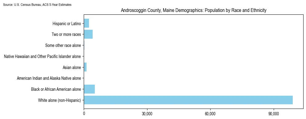 Population by race and ethnicity in Androscoggin County, Maine based on 2023 U.S. Census Bureau ACS data