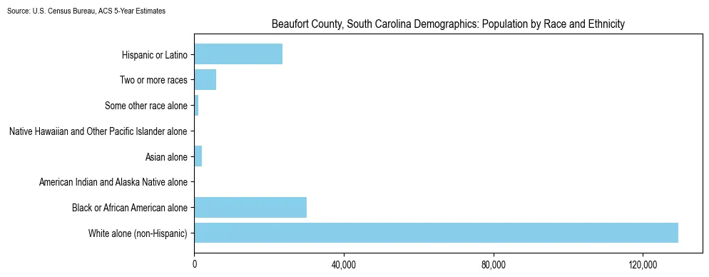 Population by race and ethnicity in Beaufort County, South Carolina based on 2023 U.S. Census Bureau ACS data