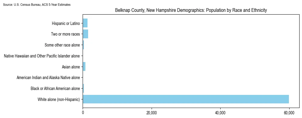 Population by race and ethnicity in Belknap County, New Hampshire based on 2023 U.S. Census Bureau ACS data