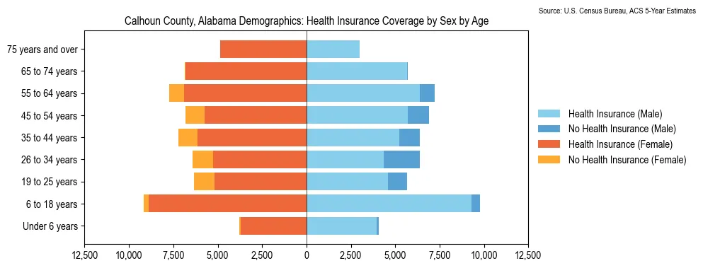 Health insurance coverage by age and sex in Calhoun County, Alabama from the 2023 ACS
