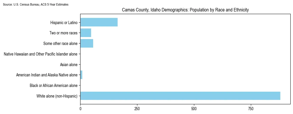 Population by race and ethnicity in Camas County, Idaho based on 2023 U.S. Census Bureau ACS data