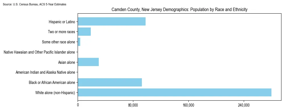 Population by race and ethnicity in Camden County, New Jersey based on 2023 U.S. Census Bureau ACS data