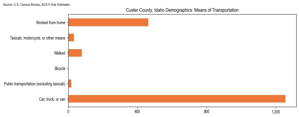 How people commute to work in Custer County, Idaho based on 2023 U.S. Census Bureau ACS data on transportation methods