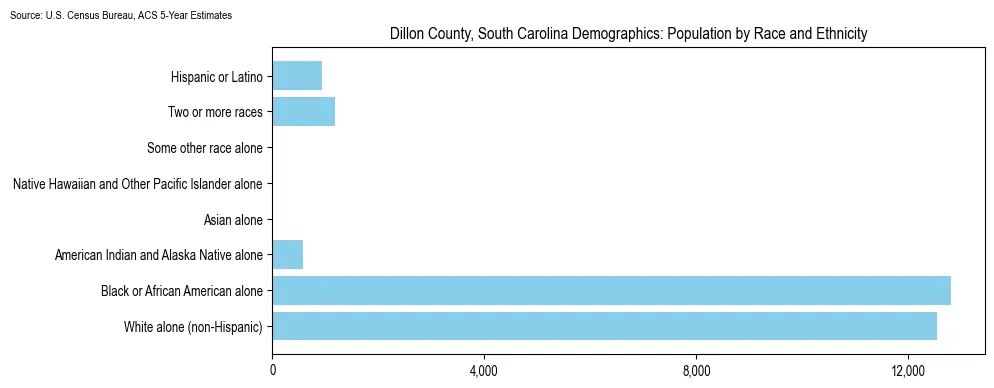 Population by race and ethnicity in Dillon County, South Carolina based on 2023 U.S. Census Bureau ACS data