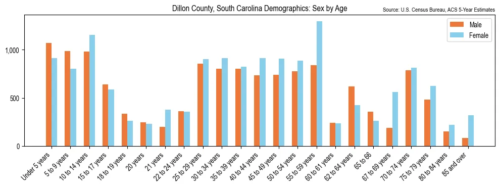 Population by age and sex in Dillon County, South Carolina, based on 2023 ACS data