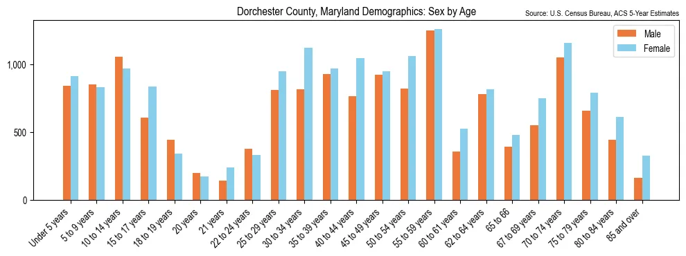 Population by age and sex in Dorchester County, Maryland, based on 2023 ACS data