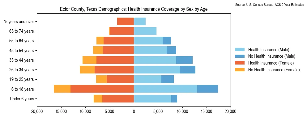 Health insurance coverage by age and sex in Ector County, Texas from the 2023 ACS