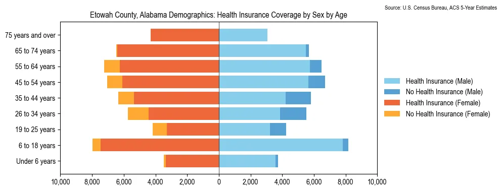 Health insurance coverage by age and sex in Etowah County, Alabama from the 2023 ACS