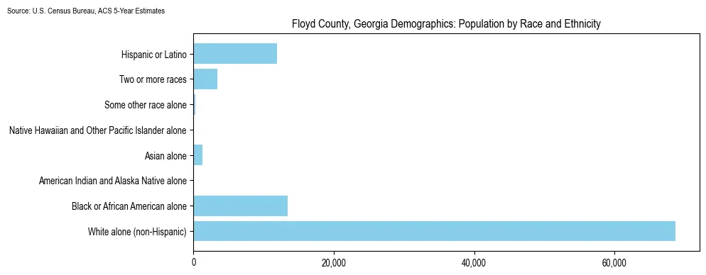 Population by race and ethnicity in Floyd County, Georgia based on 2023 U.S. Census Bureau ACS data