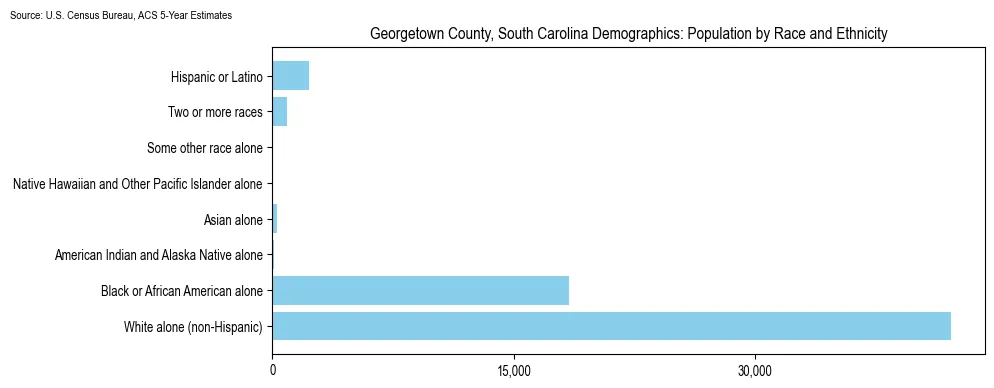 Population by race and ethnicity in Georgetown County, South Carolina based on 2023 U.S. Census Bureau ACS data