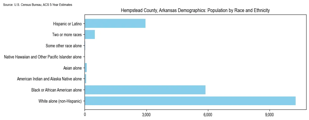 Population by race and ethnicity in Hempstead County, Arkansas based on 2023 U.S. Census Bureau ACS data
