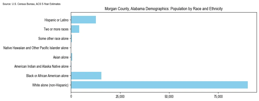 Population by race and ethnicity in Morgan County, Alabama based on 2023 U.S. Census Bureau ACS data