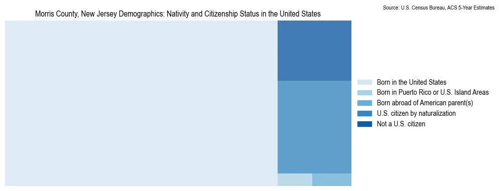 Chart showing the breakdown of U.S. citizenship status and nativity in 2023 for the Morris County, New Jersey, based on ACS 5-Year Estimates