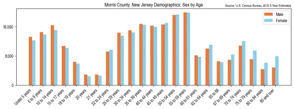 Population by age and sex in Morris County, New Jersey, based on 2023 ACS data
