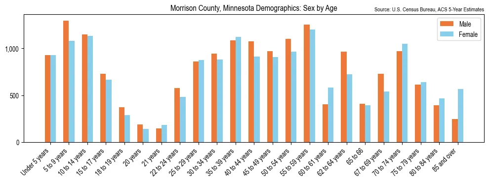 Population by age and sex in Morrison County, Minnesota, based on 2023 ACS data