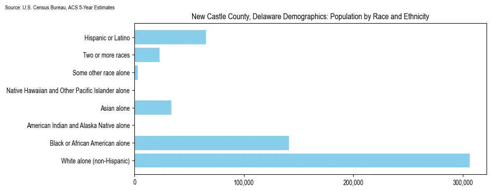 Population by race and ethnicity in New Castle County, Delaware based on 2023 U.S. Census Bureau ACS data