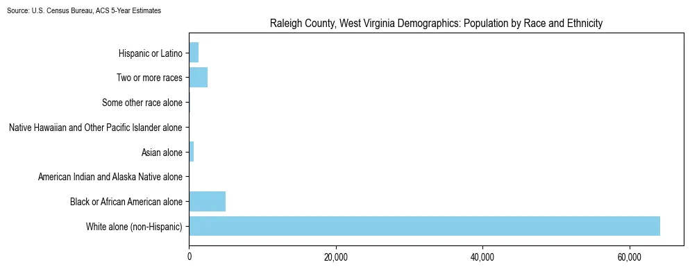 Population by race and ethnicity in Raleigh County, West Virginia based on 2023 U.S. Census Bureau ACS data