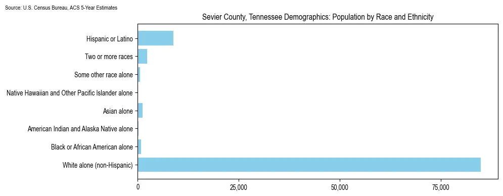 Population by race and ethnicity in Sevier County, Tennessee based on 2023 U.S. Census Bureau ACS data