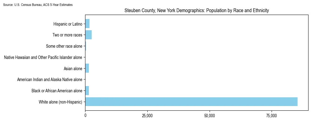 Population by race and ethnicity in Steuben County, New York based on 2023 U.S. Census Bureau ACS data